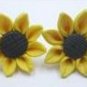 Pretty Daisy/Daisies/Floral/Flower Earrings