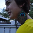 Peacock Earrings