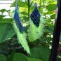 Neon Yellow & Blue Polka Dot Feather Earrings