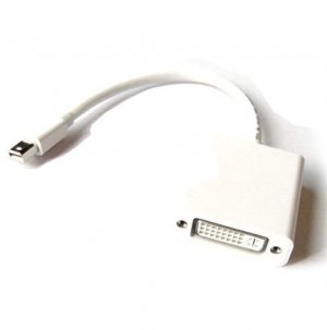 Mini DisplayPort into DVI cable