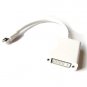 Mini DisplayPort into DVI cable