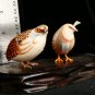 Pair of Quail