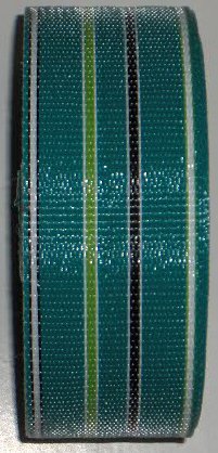 Lawn Chair Webbing 100 ft roll - Green