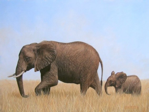 AFRICAN ELEPHANTS New DAVID STRIBBLING Ltd Ed Print.