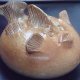 The bubble fish