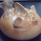 Terracotta Bubblefish