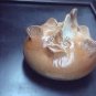 Terracotta Bubblefish