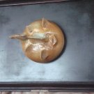 Terracotta Bubblefish