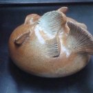 Terracotta Bubblefish