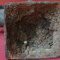 Brass Asian Amulet Khmer Angkor Buddha Statue Cambodian Dancing Style