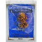 Thai Amulet Mini Lord Ganesha Statue Great God Hindu Pendant by Archan Amnarj Mahaweero