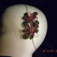 Hair clips