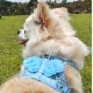 Angel Wing Pet Dog/Cat Mesh Harness with Leash - Blue (Size M)