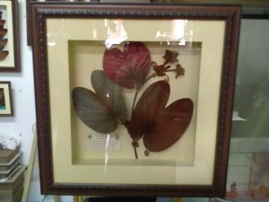 Natural Gold Leaf In Photo Frame