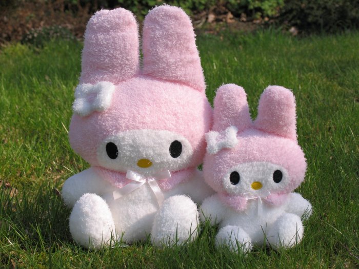 Sanrio My Melody plush (Small)