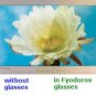 Computer relax glasses vision care Dr. Fyodorov