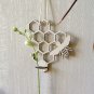 honeycomb-hanging propagation station-Wall-bee-Bud Vase-Plant-flower-hexagon-art