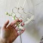 honeycomb-hanging propagation station-Wall-bee-Bud Vase-Plant-flower-hexagon-art