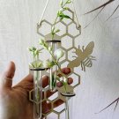 honeycomb-hanging propagation station-Wall-bee-Bud Vase-Plant-flower-modern-art honeycomb-hanging propagation station-Wall-bee-Bud Vase-Plant-flower-modern-art