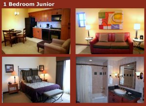 March 2012 Spring Training Weeks at Cibola Vista Resort (small 1BR condos)