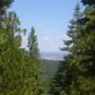 California Pines Vacant Lot with Utilities, Views, and Good Roads