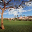Legacy Golf Resort March Spring Training 1BR Condo