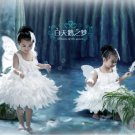 Girl BALLET TUTU DANCE DRESS PARTY DRESS style47