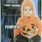 Costume Pumpkin Halloween or Dress Up