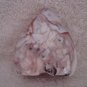 S. Antonio Proteggimi Polished Stone