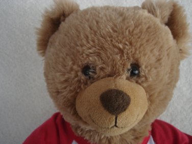 Build-a-Bear Workshop Happy Birthday Bear