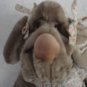 Wrinkles Dog Hand Puppet The Heritage Collection