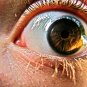Eye