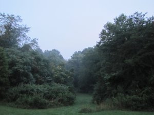 Adventure, Ho! (landscape)