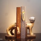 PHILIPPINES DOG-TM22635