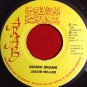 Jacob Miller - Bionic Skank / Tenement Yard Version (1978)