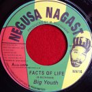 Big Youth - Facts Of Life / Medicine Doctor (1973)