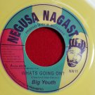 Big Youth - What's Going On / Wake Up Everybody COLORED VINYL (1976)