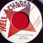 Nathan Skyers - Dreadlocks In The Family / Revolutionaries - Version (1977)