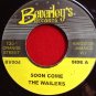 The Wailers - Soon Come / Version (1970)