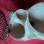 ANTIQUE TWO PIECE Pleurotomaria Rumphii Shell STAND