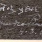 Picture 1958 autographed Ist President Dr Rajendra Prasad - BRITISH HIGH COMMISSION CRICKET TEAM