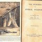St Paul School Darjeeling India Memorabilia ANTIQUE BOOK "THE WONDERS OF ANIMAL INGENUITY"
