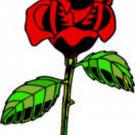 Torch to Rose