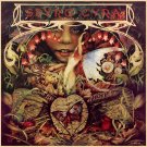 Spyro Gyra "Morning Dance"