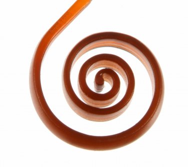 Cola Moni Poni
