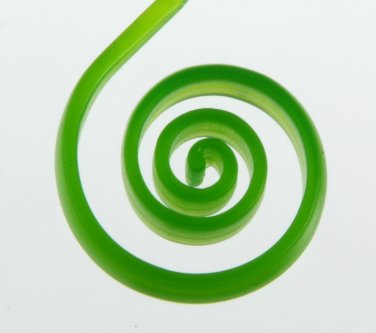 Green Moni Poni