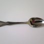 Oneida Arbor Rose True Rose Teaspoon
