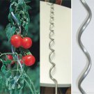 Tomato Spiral Support