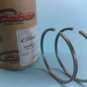 HOMELITE Super 1130G 1050, 1130 G - Piston Rings #56291