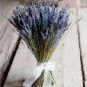 Fragrant Lavender Budle With Shear Ribbon Naturally Dried - Perfect For A Unique Bridal Bouquet